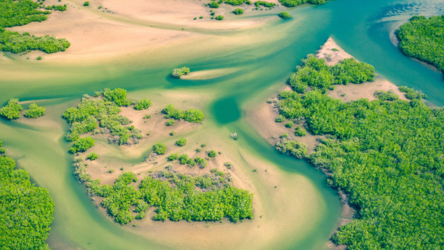 Environment_img
